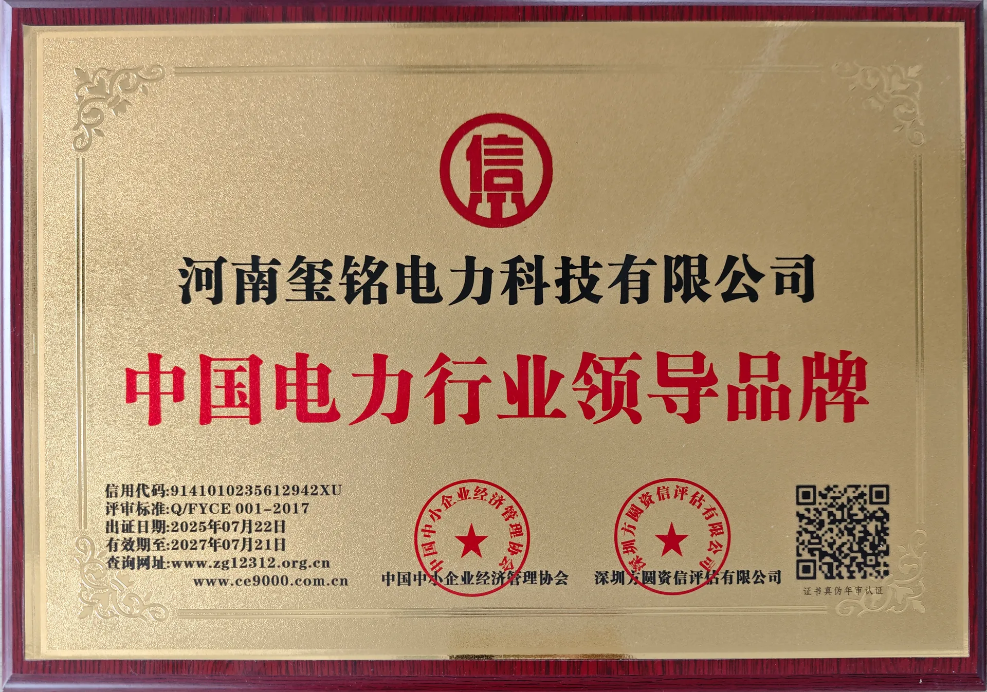 中国电力行业领导品牌